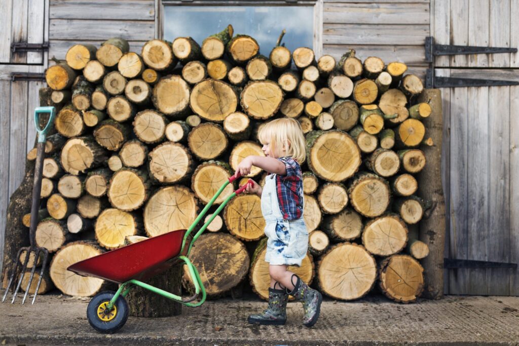 Firewood stacked in preparation for winter season.